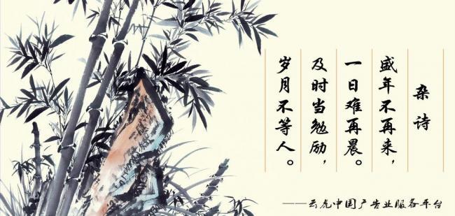 辦公室風(fēng)水?dāng)[件，助你事業(yè)風(fēng)生水起